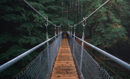 IMG-20240618-WA0007