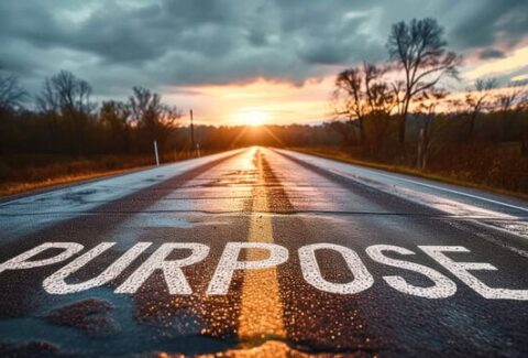 Purpose 2