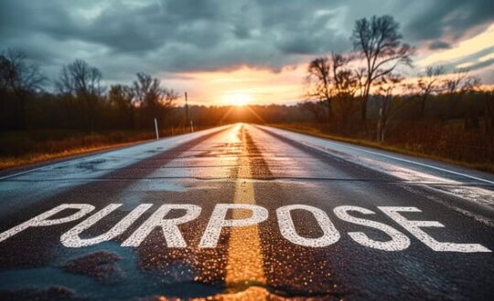 Purpose 2